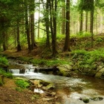 Camping de la Liez panoramic landscape of mountains river in forest