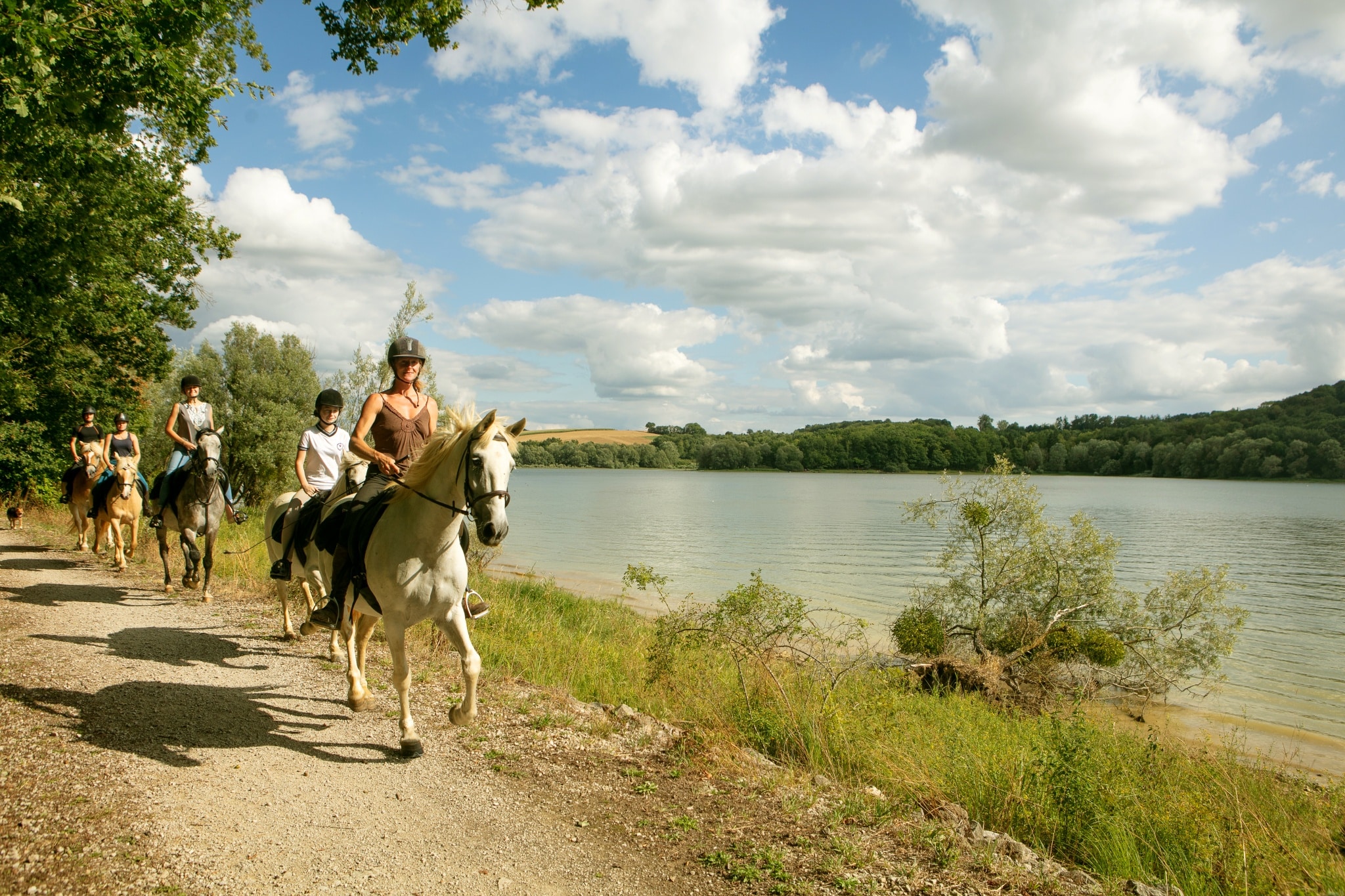 activités équestres près du camping haute marne